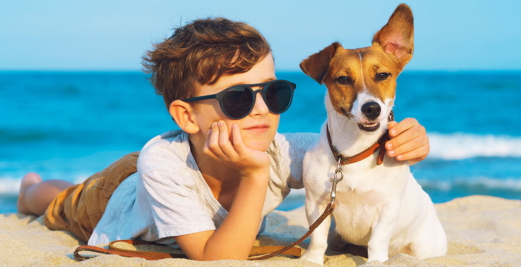 Planning a Dog-Friendly Cape Cod Vacation