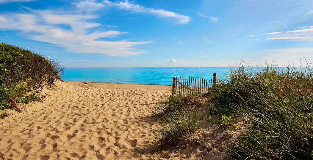 The 5 Best Beaches In Falmouth Cape Cod