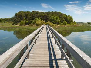 Wooden boardwalk extending over calm water toward a tree-covered island under a blue sky.